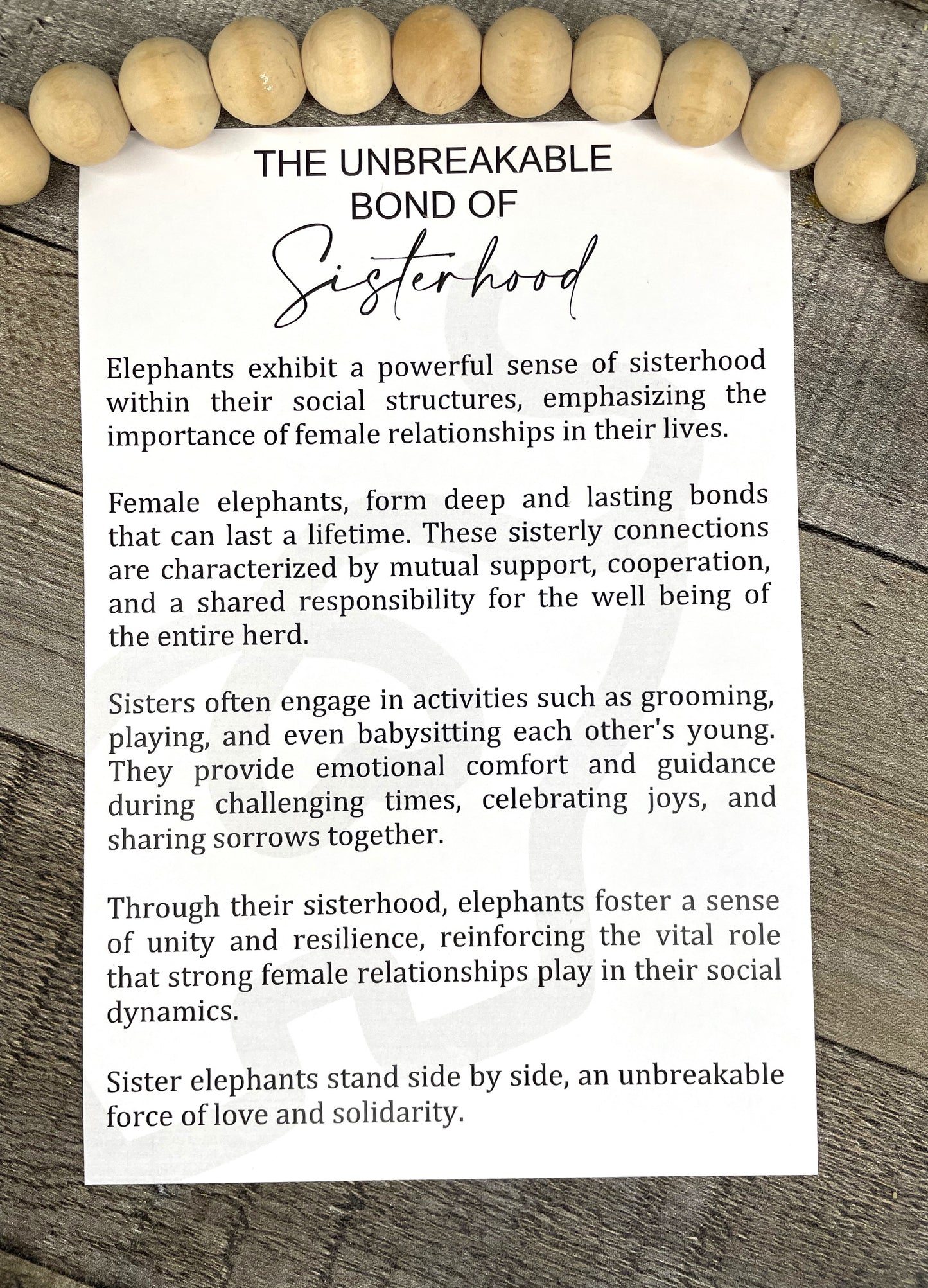 Elephant Ornament - Story of Unbreakable Bond of Sisterhood