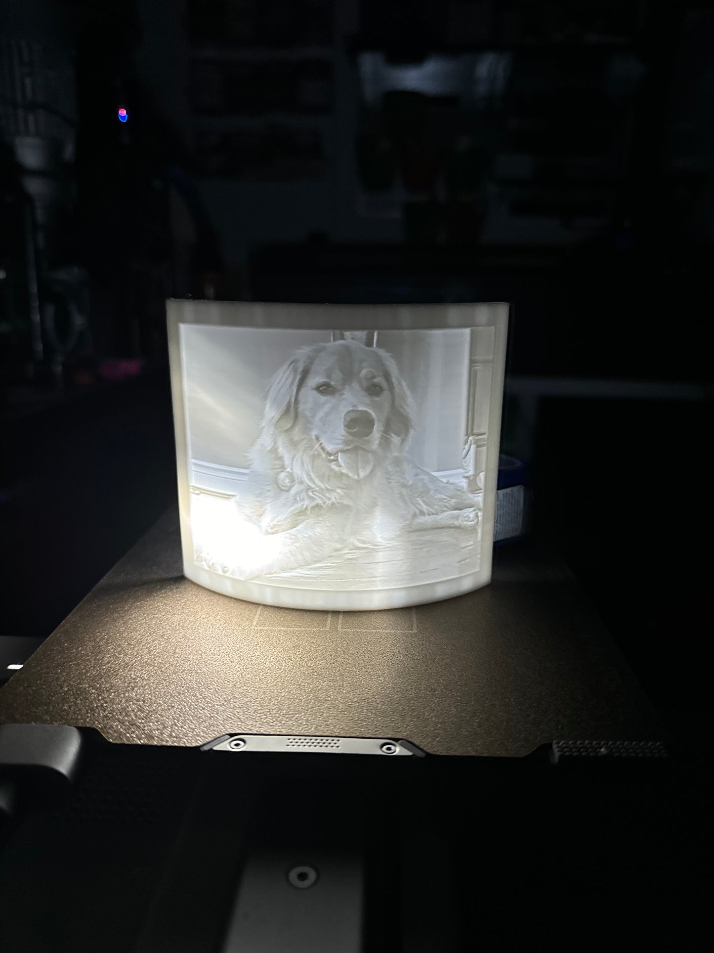Custom Lithophane Nightlight - 3d Printed Pet Photo