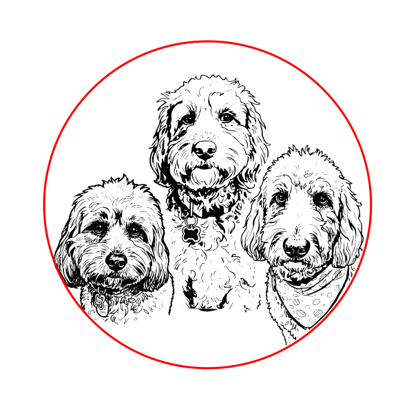 Custom Pet Necklace - Engraved Sterling Silver Photo Pendant