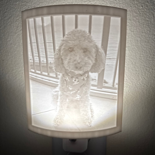 Custom Lithophane Nightlight - 3d  Printed Pet Photo