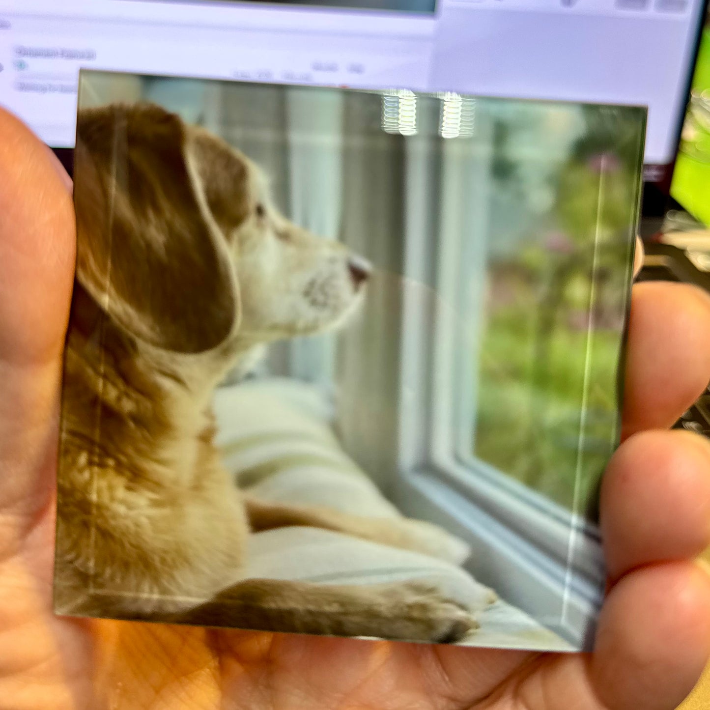 Personalized Pet Photo Ornament - Beveled Glass, Framed with Bow