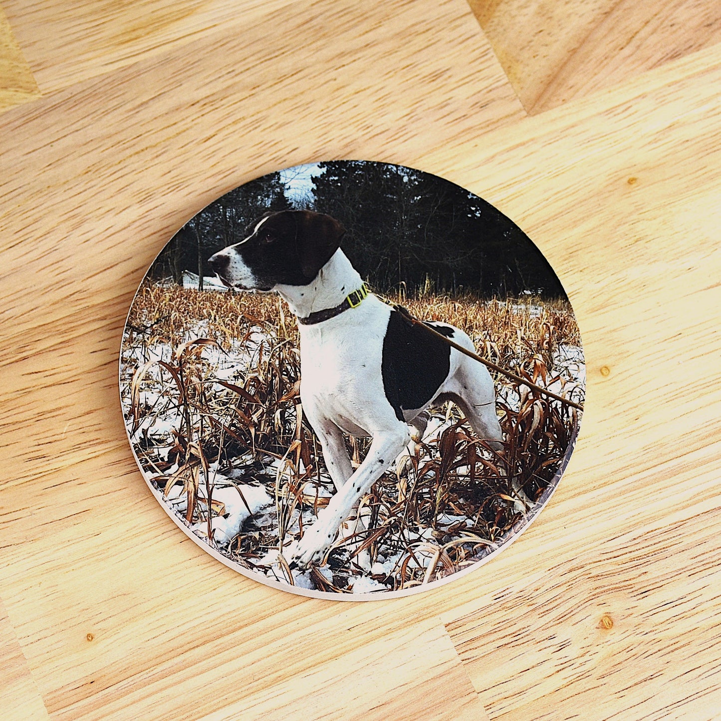 Custom Photo Coaster with Pet - UV Printed Ceramic Tile