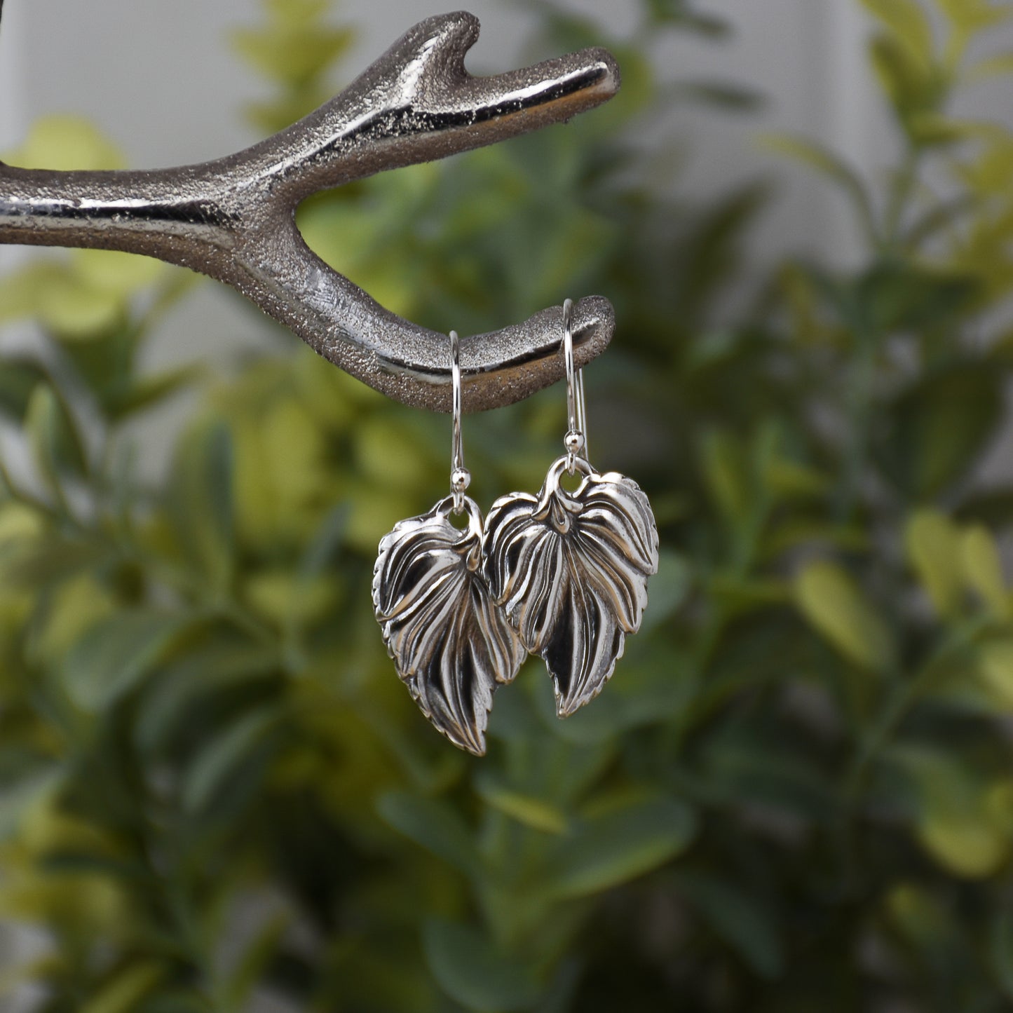 sterling silver elegant leaf earrings with French hook ear wires hanging from branch with foliage background